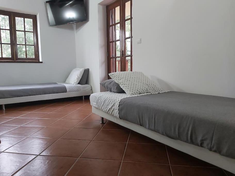 Casa Vale Nicolau Villa Arganil Eksteriør billede